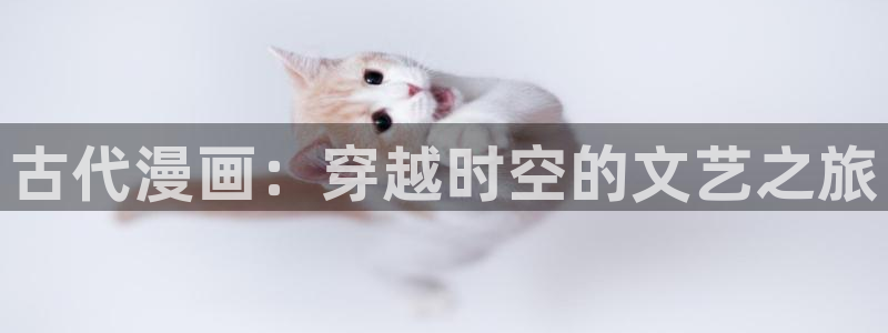 看动漫的51漫画破解版下载