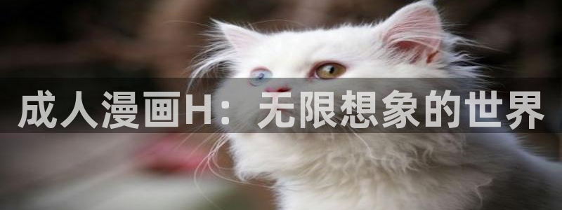 51漫画软件在线观